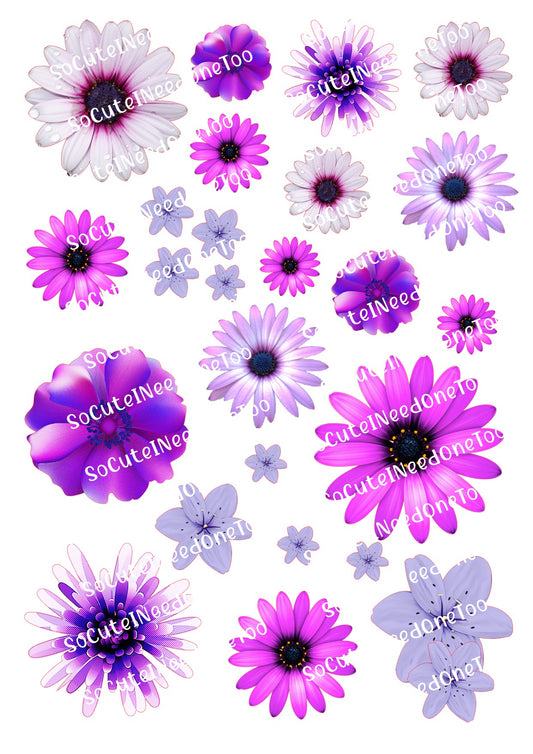 Flores moradas sobre papel para acuarela transparente/blanco, listas para usar