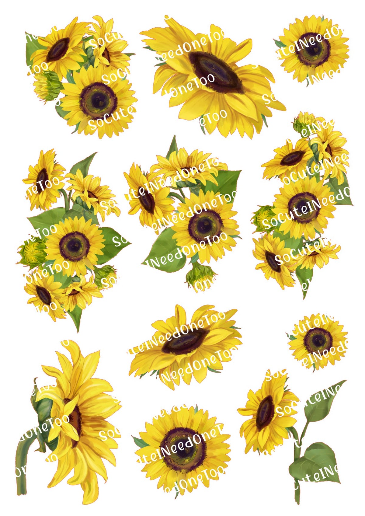 Calcomanías para toboganes de agua con el girasol n.° 9
