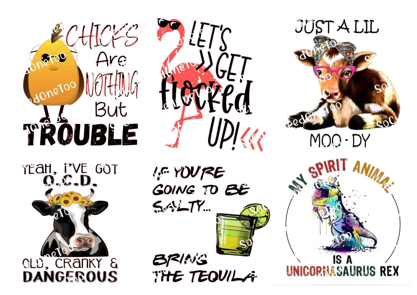 Adult Fun #1 Waterslide Decals - SoCuteINeedOneToo