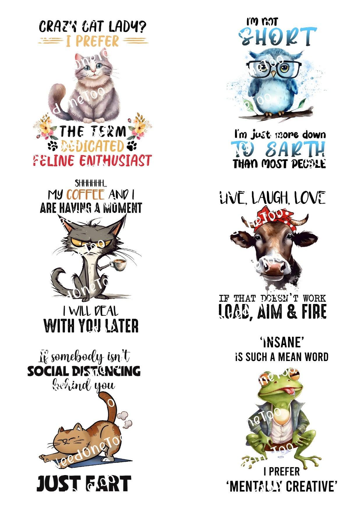 Adult Jokes Waterslide Decals - SoCuteINeedOneToo