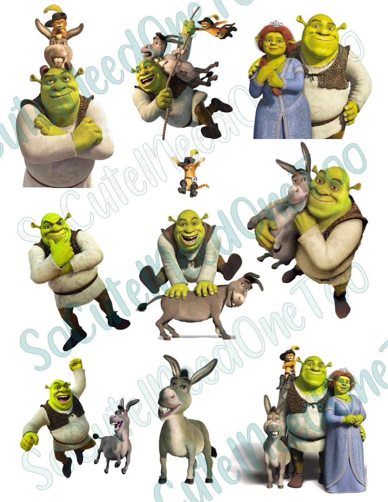 Shrek #2 Waterslide Decals - SoCuteINeedOneToo