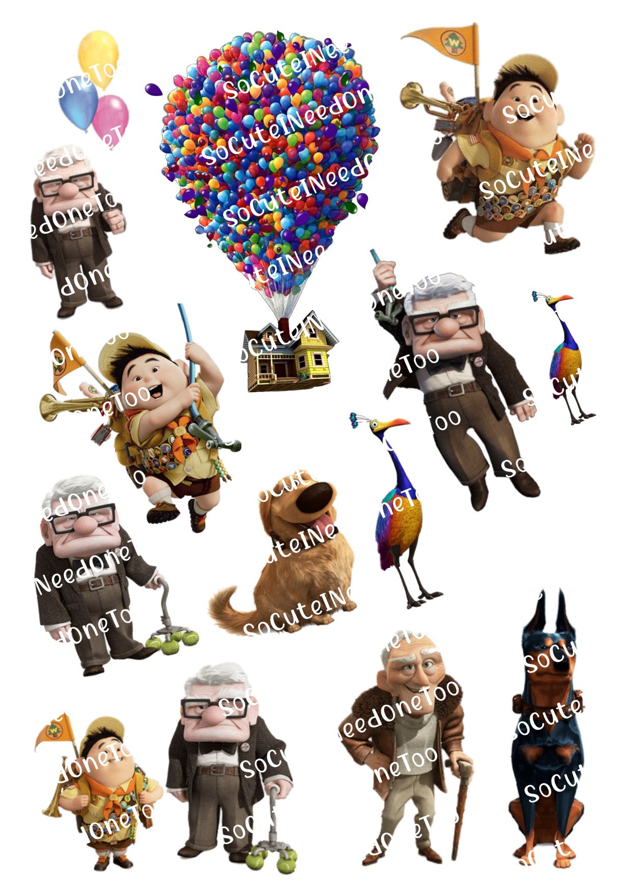 UP - The Movie Waterslide Decals - SoCuteINeedOneToo