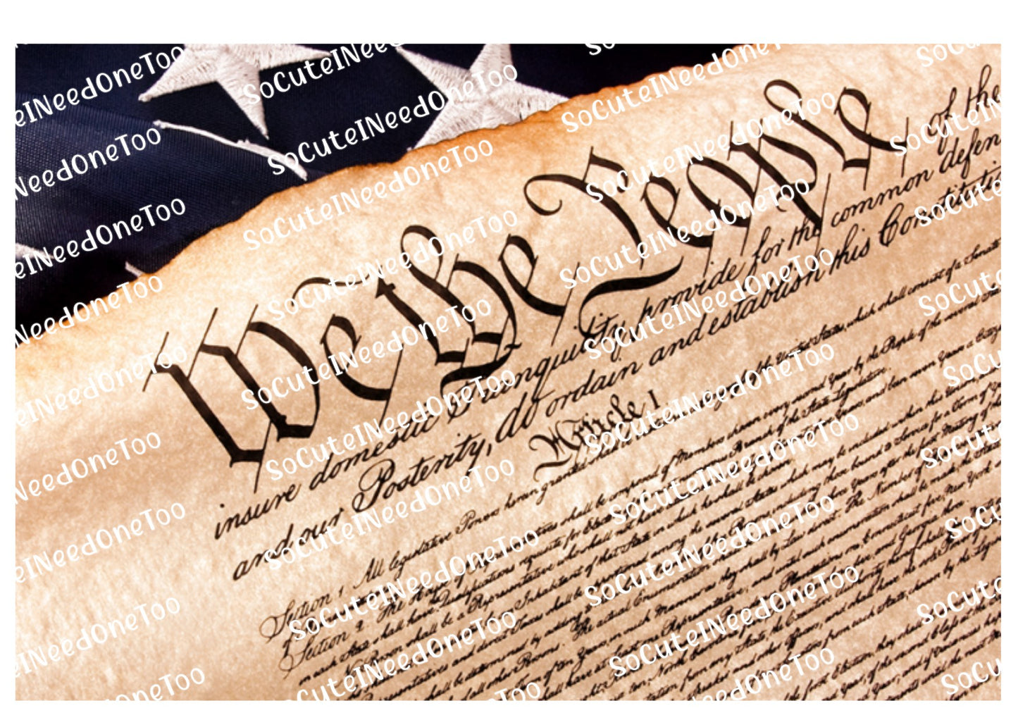 We The People Full Sheet Waterslide Decals - SoCuteINeedOneToo