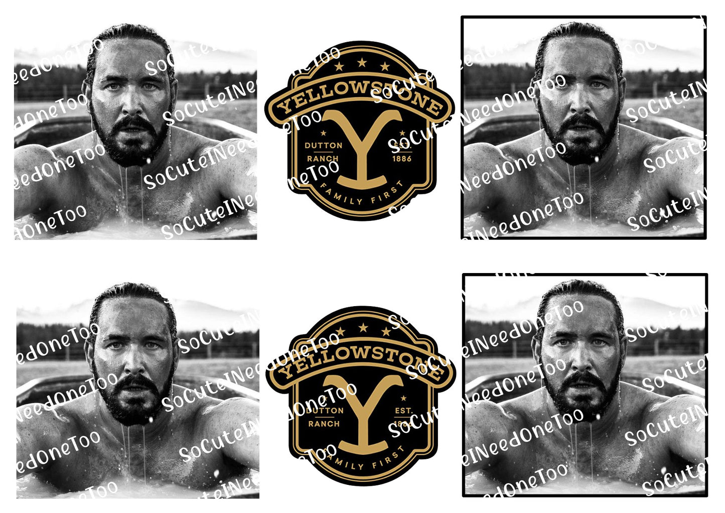 Yellowstone - RIP IN TUB Decals - SoCuteINeedOneToo