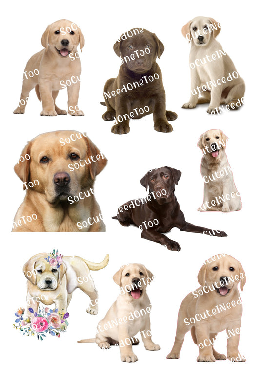 Lab Dogs Waterslide Decals – Labrador Retriever Designs for Tumblers & Pet Lovers