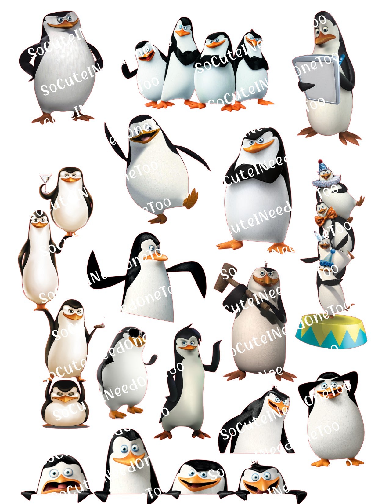 Calcomanías para toboganes acuáticos de pingüinos de Madagascar 