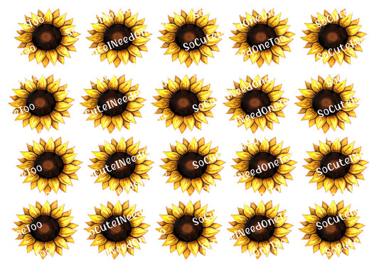 Calcomanías FS de girasoles de 3,5 y 2 pulgadas 