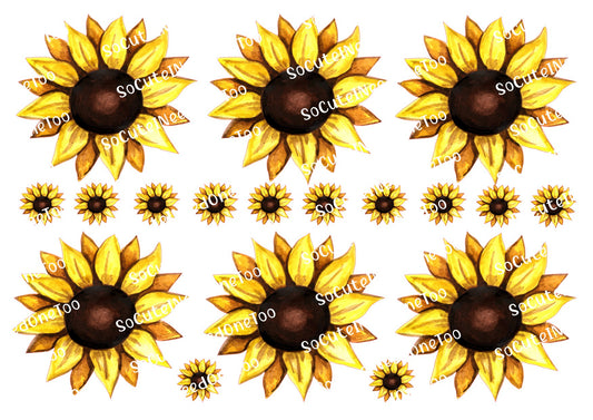 Calcomanías FS de girasoles de 3,5 y 2 pulgadas 