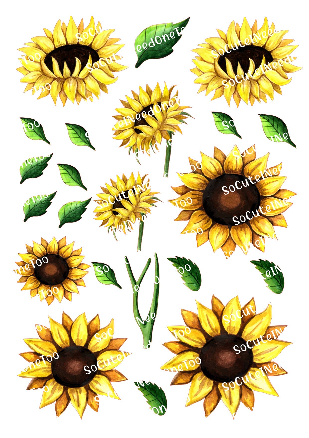 Calcomanías para toboganes de agua con el girasol n.° 8 