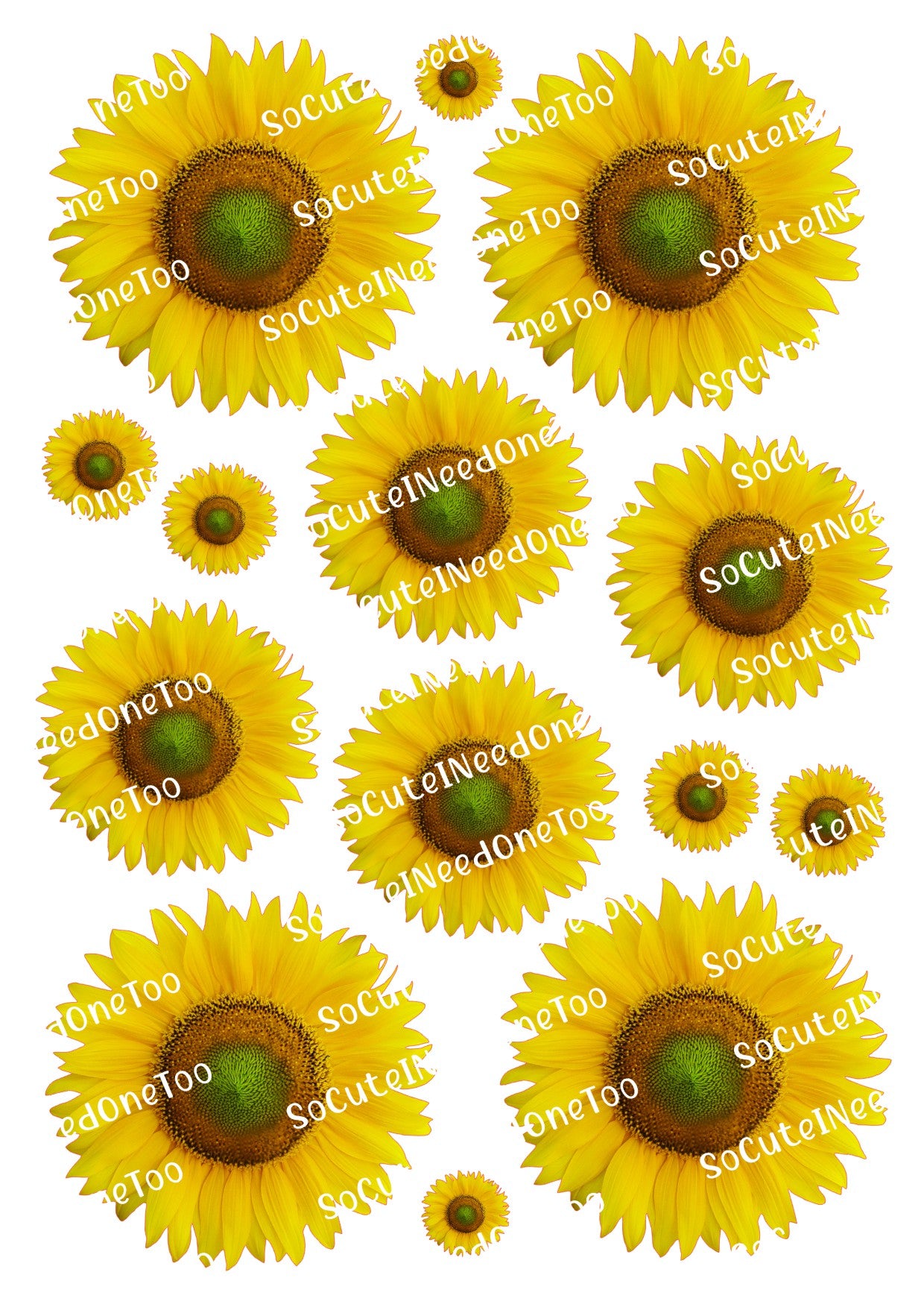 Calcomanías para toboganes de agua de girasoles en tamaños 3,5 y 2,5