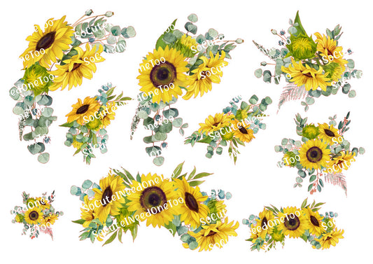 Girasol y eucalipto sobre papel para tobogán acuático transparente/blanco, listo para usar 