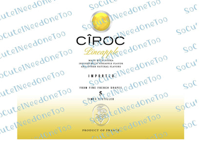 CIROC Vodka Waterslide Wraps - SoCuteINeedOneToo