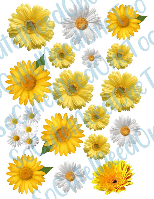 Daisy - Yellow & White Waterslide Decals - SoCuteINeedOneToo