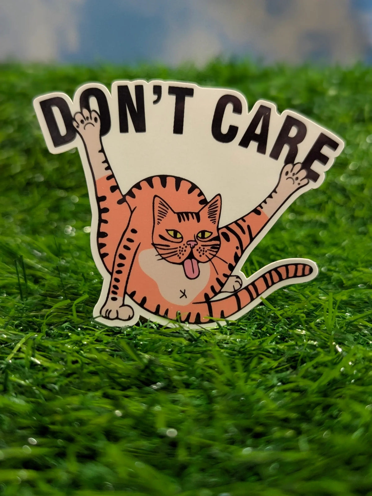 Don't Care sarcastic cat vinyl sticker - SoCuteINeedOneToo