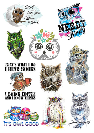 OWL Waterslide Decal - SoCuteINeedOneToo