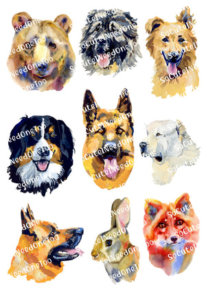 Watercolor Animals Waterslide Decals - SoCuteINeedOneToo