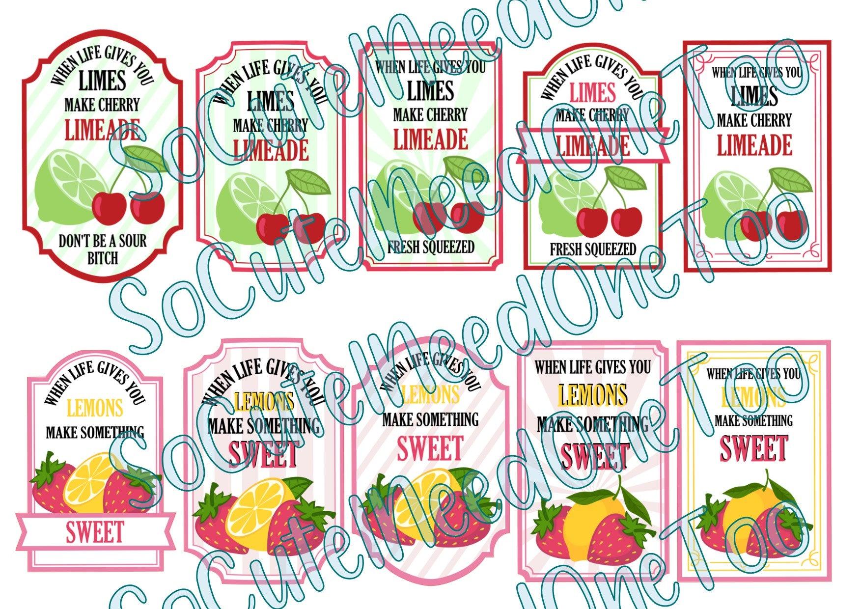 When Life Gives you - BITCH SERIES Waterslide Decals - SoCuteINeedOneToo